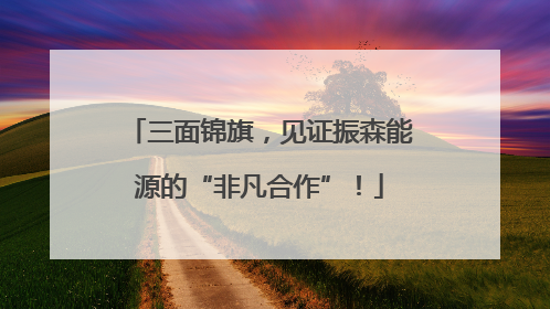 三面锦旗，见证振森能源的“非凡合作”！